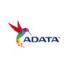 memoria usb 64gb adata c008 roja